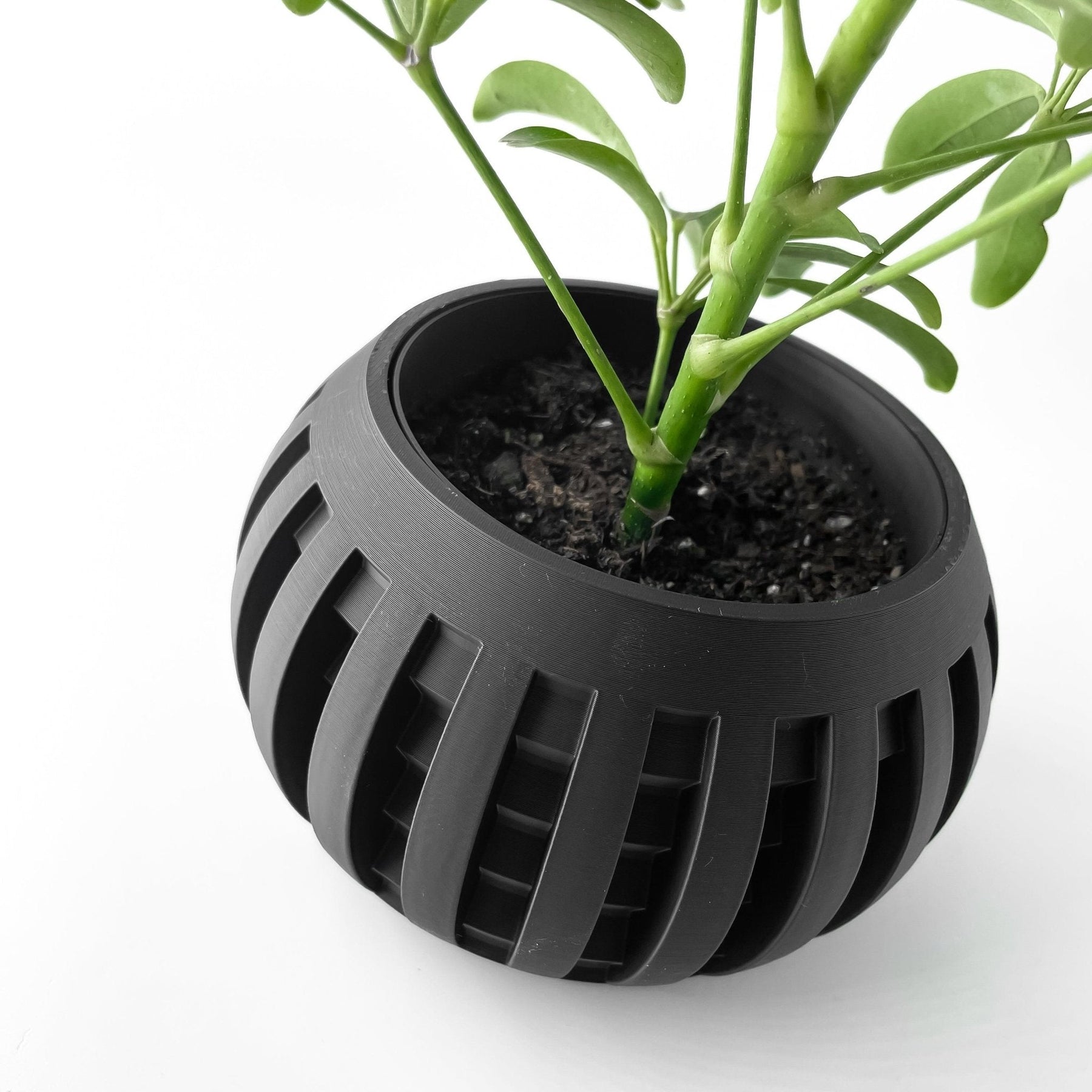 Vaso Decorativo Amada – Design Geométrico Contemporâneo Plantas de Interior